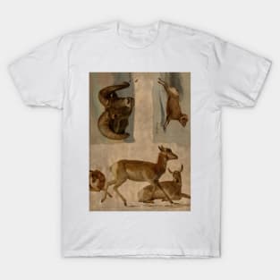 Study of Bighorn Sheep and Antelope by Albert Bierstadt T-Shirt